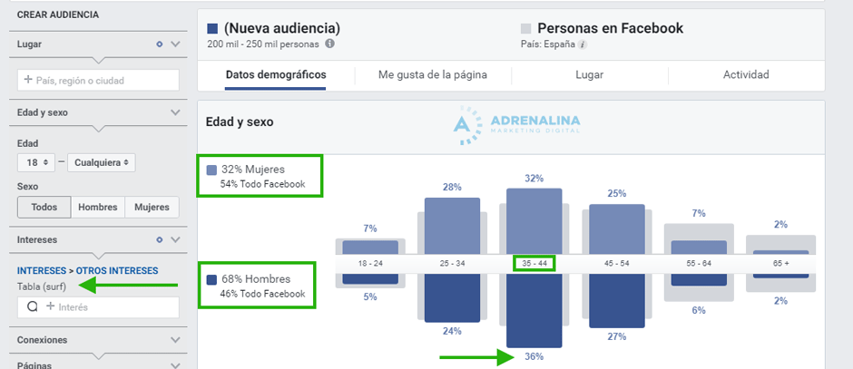 definir publico objetivo
