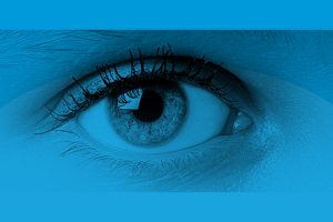 Tendencias como herramienta de marketing online