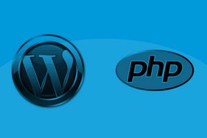Cómo ejecutar php en el widget de texto