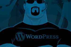 Seguridad en WordPress