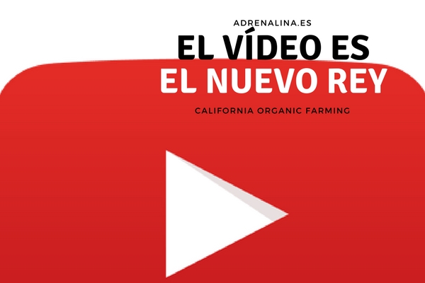 vídeo rey del contenido
