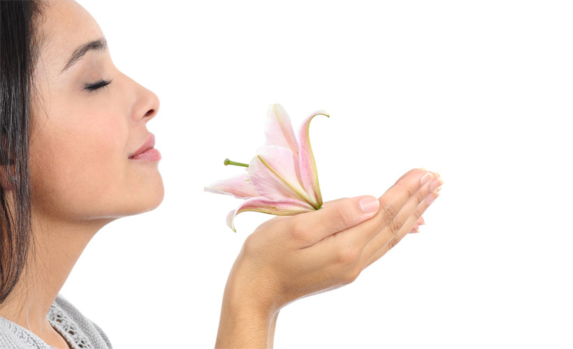 Como El Marketing Olfativo Le Puede Ayudar A Mejorar La Relacion Con Sus Clientes Adrenalina