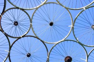 hub de contenidos