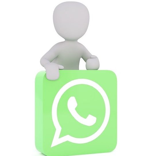 whatsapp business