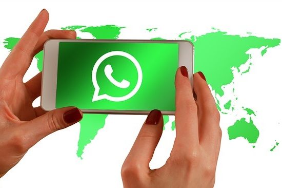 whatsapp business