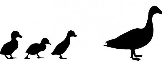 motores de búsqueda