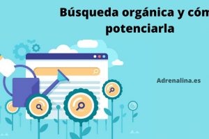 que es busqueda organica