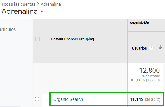 visitas orgánicas web